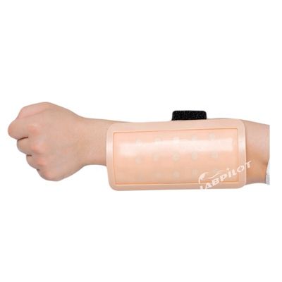 皮膚内注射 教えるパッド 人体皮膚モデル IV 医学科学のトレーナー
