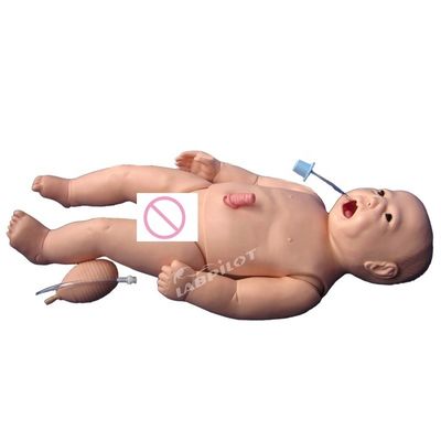 新生児 腹腔内看護 静脈管管切除 試作品によるCPR訓練