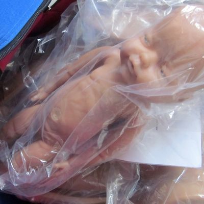 妊婦 人形 赤ちゃん 人形 助産師 産児 訓練 モデル 高級 PVC