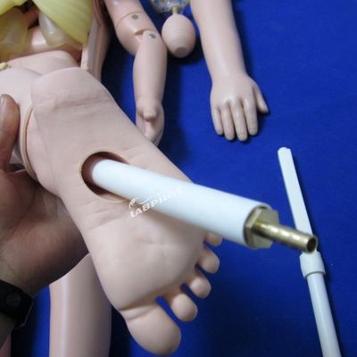 子供のケア 人形 発達したPVC 3歳の看護人形 児童訓練