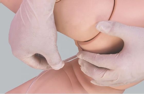 子供のケア 人形 発達したPVC 3歳の看護人形 児童訓練