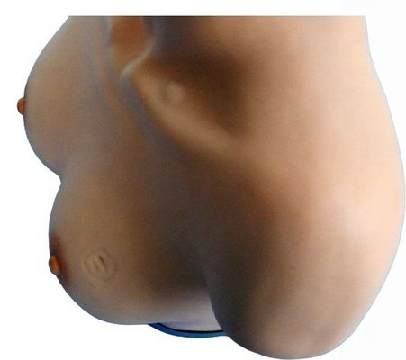 婦人科技能 乳房検査と触覚シミュレータのためのマニキンを教える