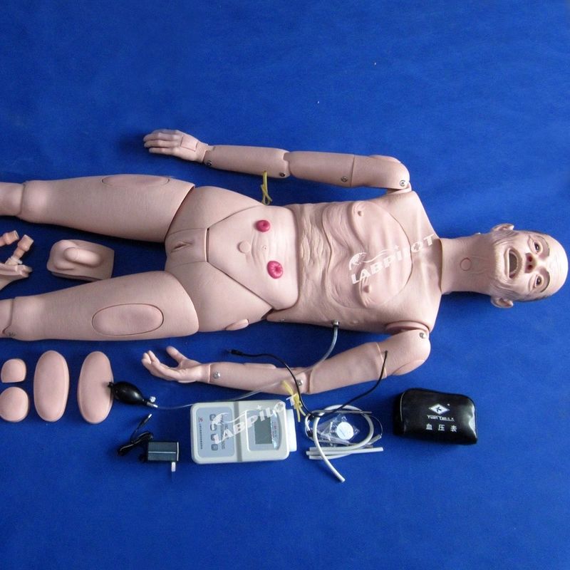 介護 員 の ため の マニキン CPR BP 訓練 老年 患者 の 介護 を 成功 的 に する 鍵