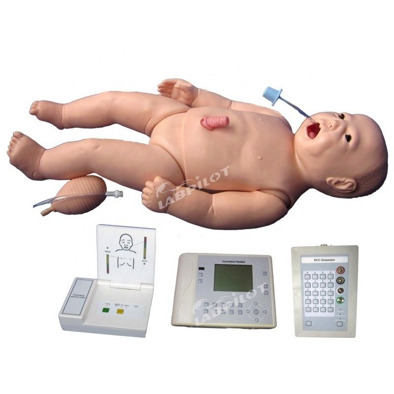 ACLS 新生児看護 マニキン 生命体サイズ 医学科教科目