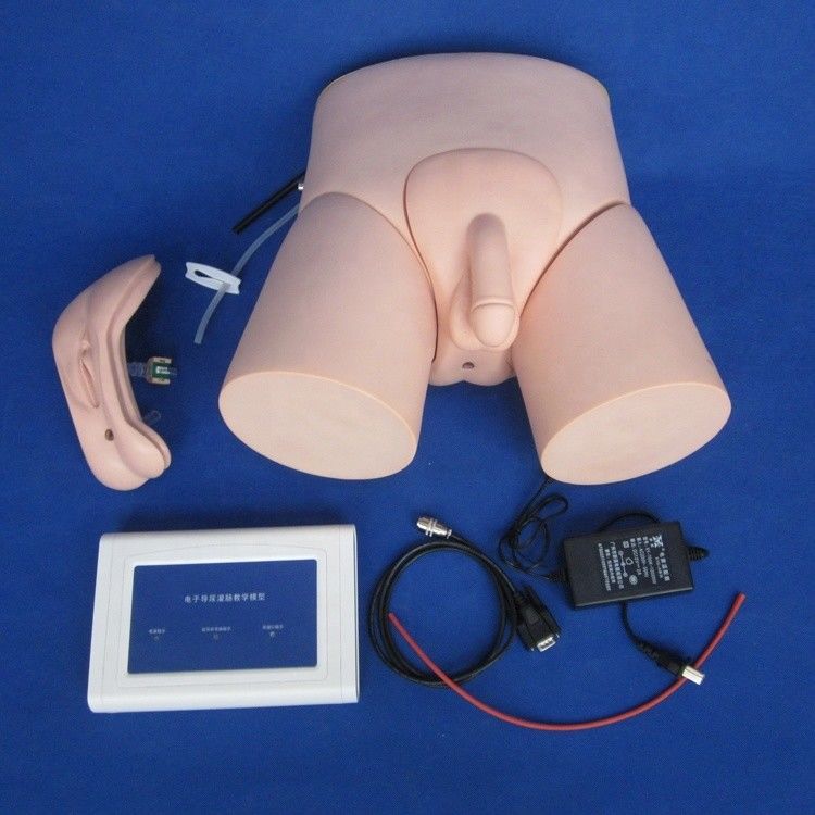 男性と女性のための電子尿管カテーテリゼーション訓練モデル
